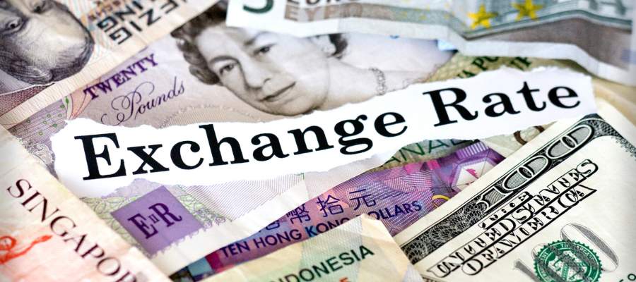 Exchange Rate Volatility